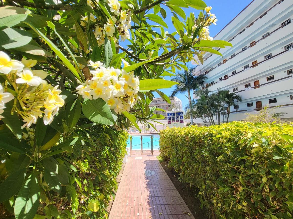 Las Camelias Apartments Playa del Inglés Exteriör bild