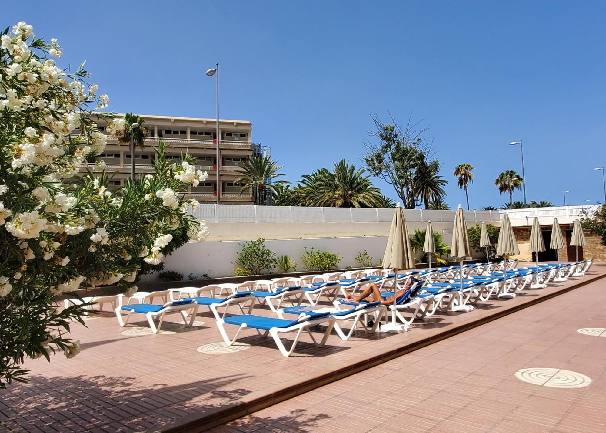 Las Camelias Apartments Playa del Inglés Exteriör bild