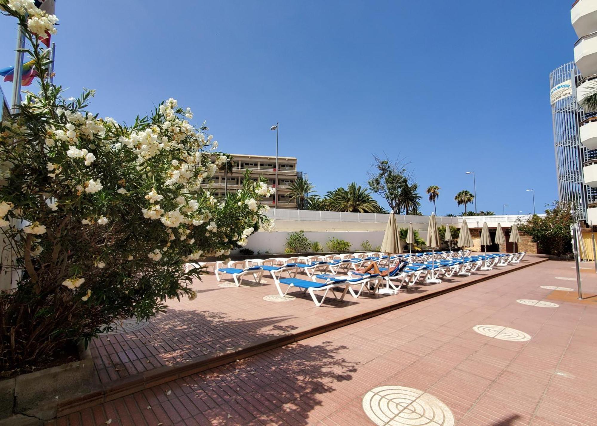 Las Camelias Apartments Playa del Inglés Exteriör bild